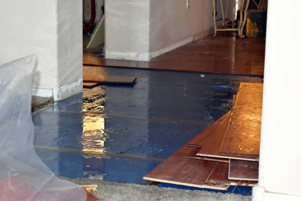 Professional Basement Water Removal technician working in Belmont, MI